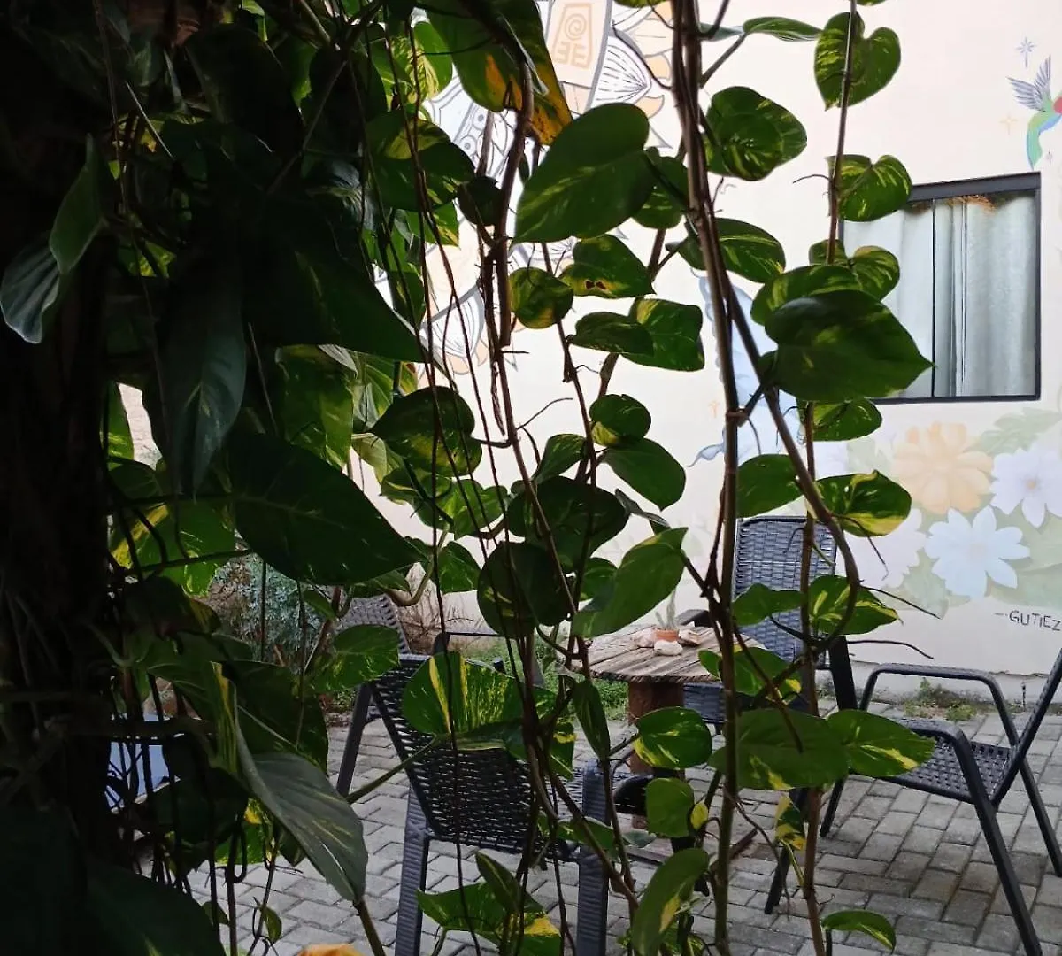 Cabanas La Casita Hospedagem Familiar 나베간체스 0*,  브라질